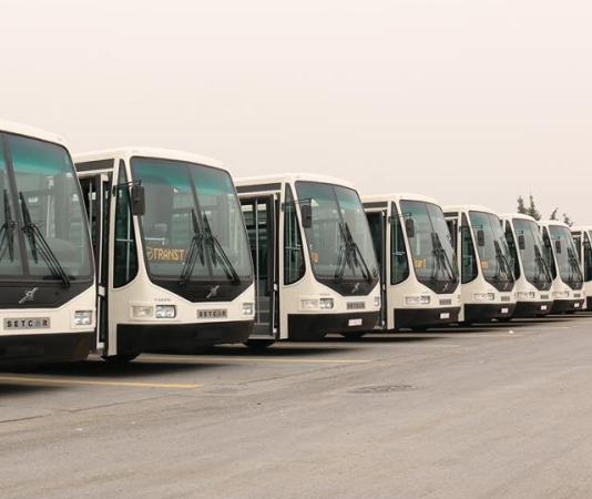 Kairouan : réception de nouveaux bus pour renforcer le transport urbain