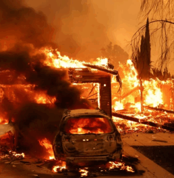 Bizerte : incendie criminel ciblant l’administration d’un lycée à Menzel Jemil