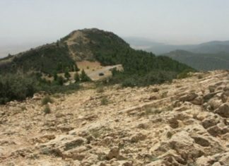 Kasserine : découverte d’un nouveau site archéologique romain exceptionnel