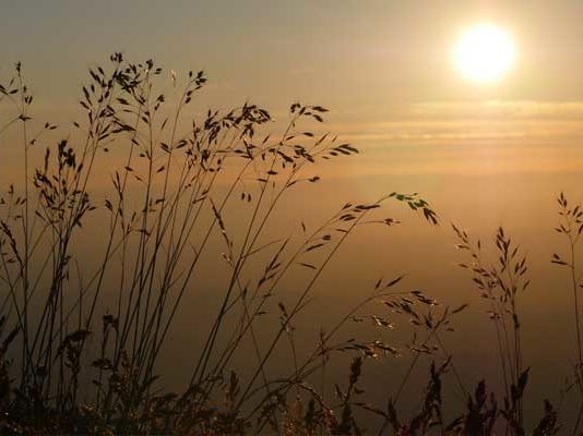 Tunisie : un début d’année 2026 marqué par des températures plus élevées et des précipitations inégales