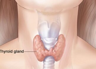 Gafsa : lancement de la première campagne nationale de dépistage des maladies de la thyroïde
