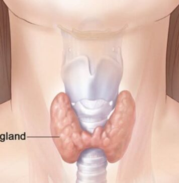 Gafsa : lancement de la première campagne nationale de dépistage des maladies de la thyroïde