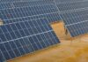Centrale solaire de Kairouan : mise en service demain pour 100 MW d’électricité verte