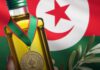 Huile d’olive tunisienne : “Toukaber” sacrée meilleure huile biologique au monde pour la 10ᵉ fois