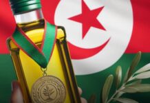 Huile d’olive tunisienne : “Toukaber” sacrée meilleure huile biologique au monde pour la 10ᵉ fois