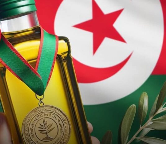 Huile d’olive tunisienne : “Toukaber” sacrée meilleure huile biologique au monde pour la 10ᵉ fois