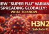 Alerte grippe : variant K H3N2, les personnes à risque appelées à se faire vacciner