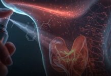 Pourquoi il ne faut pas mettre de parfum sur le cou : risques pour la thyroïde