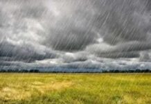 Tunisie : prévisions météorologiques pour le mercredi 21 janvier 2026