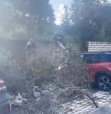 Stade Chedly Zouiten : effondrement d’un mur près du parking, plusieurs voitures endommagées