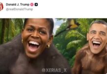 Vidéo jugée raciste sur les Obama : Trump se défend et dit ne « pas avoir commis d’erreur »