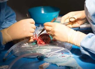 Greffe de rein : la liste d’attente dépasse 1500 patients en Tunisie