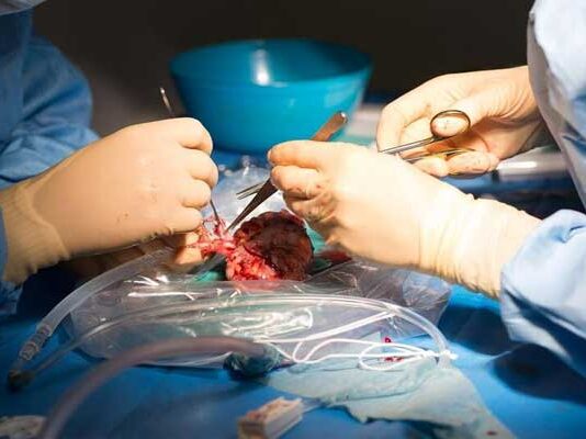 Greffe de rein : la liste d’attente dépasse 1500 patients en Tunisie