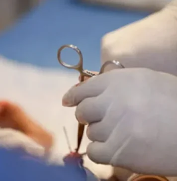 Solidarité à Nabeul : 120 enfants concernés par la circoncision et 300 tenues de l’Aïd préparées