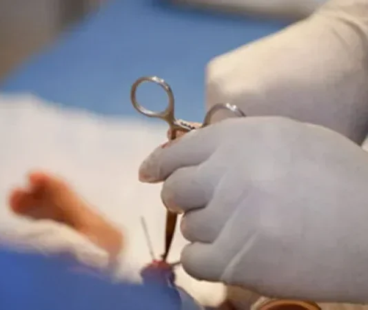 Solidarité à Nabeul : 120 enfants concernés par la circoncision et 300 tenues de l’Aïd préparées