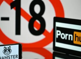 Tunisie : un député propose de bloquer les sites pornographiques et d’interdire TikTok