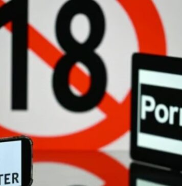 Tunisie : un député propose de bloquer les sites pornographiques et d’interdire TikTok