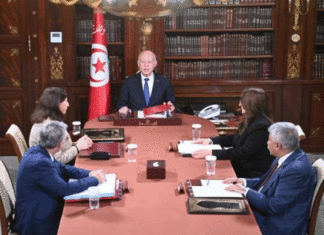 Tunisie: La ministre de l’Industrie, des mines et de l’énergie démise de ses fonctions