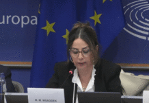 Tunisie : polémique après le discours de Dalila Ben Mbarek Msaddek devant le Parlement européen