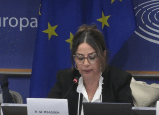Tunisie : polémique après le discours de Dalila Ben Mbarek Msaddek devant le Parlement européen