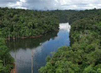 Amazonie : découverte d’un gigantesque réservoir d’eau souterraine capable d’alimenter la planète pendant 250 ans !