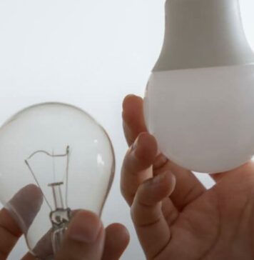 Transition énergétique en Tunisie : un programme de remplacement massif des lampes par des LED dans les institutions publiques