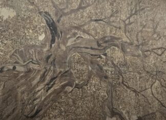 Expo 2025 Osaka-Kansai : une œuvre tunisienne en mosaïque installée dans un musée japonais