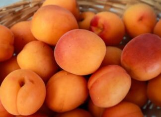 Abricot sec : les bienfaits d’un fruit riche en fer et en énergie