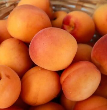 Abricot sec : les bienfaits d’un fruit riche en fer et en énergie