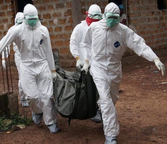 Ebola : aucun risque direct pour la Tunisie, rassure une spécialiste