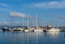 Tunisie : la Marina de Bizerte bientôt relancée pour booster le tourisme
