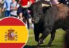Toro de la Vega : une tradition vieille de 500 ans interdite définitivement en Espagne