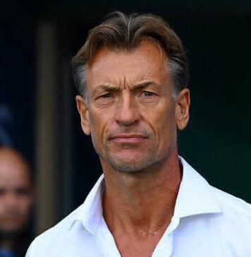 Tunisie : Hervé Renard prend les commandes de la sélection nationale, mission détaillée