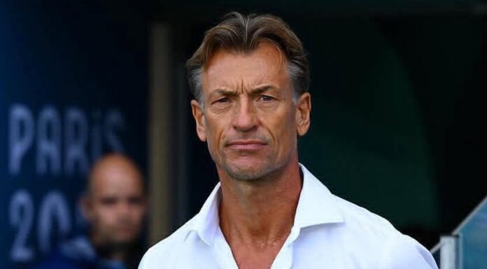 Tunisie : Hervé Renard prend les commandes de la sélection nationale, mission détaillée