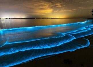 La mer bleue brillante en Tunisie : origine et explication du phénomène