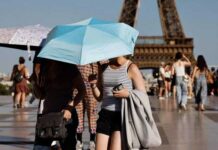 Canicule en France : au moins 2 025 décès supplémentaires enregistrés en une semaine