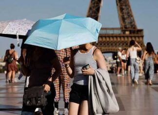 Canicule en France : au moins 2 025 décès supplémentaires enregistrés en une semaine