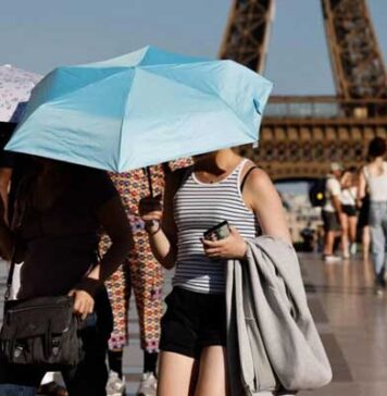 Canicule en France : au moins 2 025 décès supplémentaires enregistrés en une semaine