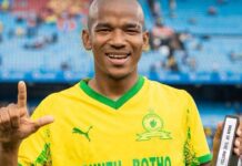 Afrique du Sud : Jayden Adams décède à 25 ans quelques semaines après le Mondial 2026
