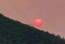 Tunisie : après la canicule, le soleil apparaît rouge dans le ciel, voici l’explication scientifique