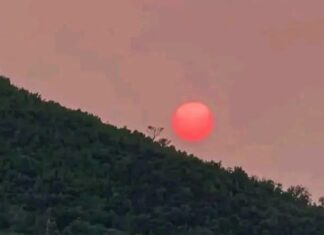 Tunisie : après la canicule, le soleil apparaît rouge dans le ciel, voici l’explication scientifique