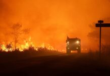 Incendies en France : 50 000 hectares ravagés et une mobilisation européenne demandée