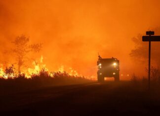 Incendies en France : 50 000 hectares ravagés et une mobilisation européenne demandée