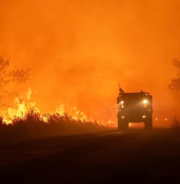Incendies en France : 50 000 hectares ravagés et une mobilisation européenne demandée