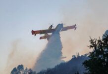 Incendies en Tunisie : l’Italie envoie un Canadair pour soutenir les opérations de lutte contre le feu
