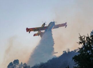 Incendies en Tunisie : l’Italie envoie un Canadair pour soutenir les opérations de lutte contre le feu
