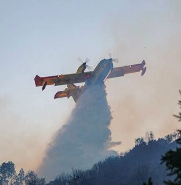 Incendies en Tunisie : l’Italie envoie un Canadair pour soutenir les opérations de lutte contre le feu