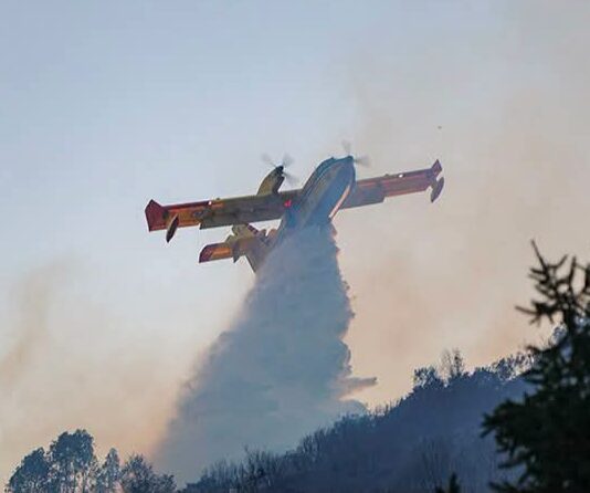 Incendies en Tunisie : l’Italie envoie un Canadair pour soutenir les opérations de lutte contre le feu