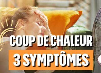 Le coup de chaleur n’est pas un simple coup de soleil : il peut être mortel