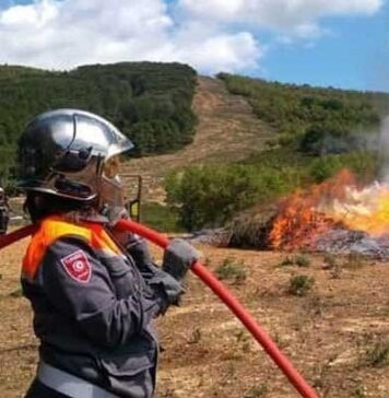 Risque élevé d’incendies : le ministère de l’Agriculture appelle à une vigilance maximale